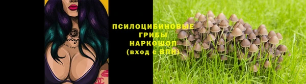 мяу мяу мука Вяземский