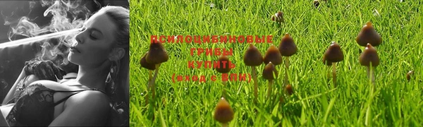 амф Вязники